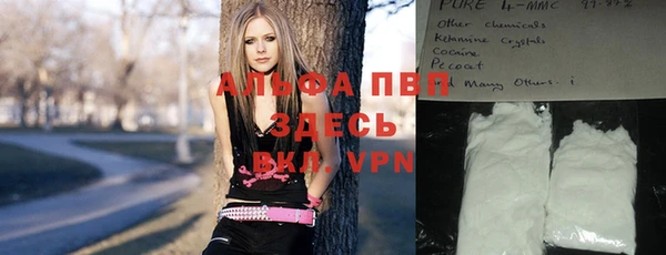 индика Бугульма