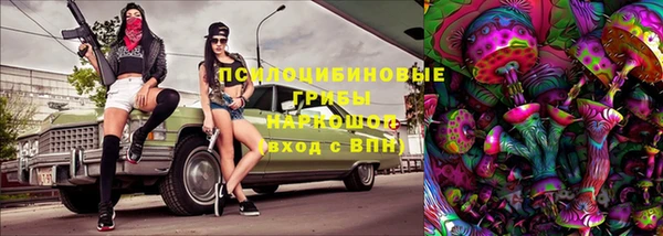 дживик Белоозёрский