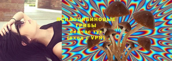 не бодяженный Белокуриха