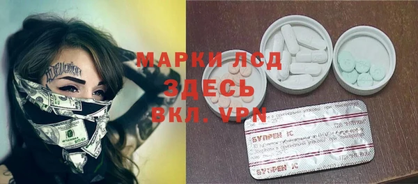 индика Бугульма