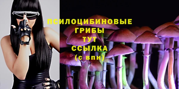 а пвп мука Бронницы