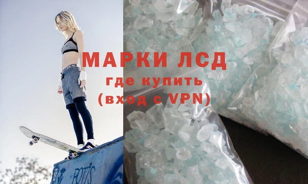 индика Бугульма