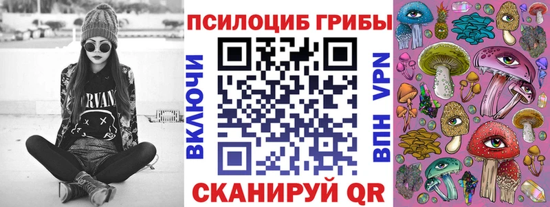 МЕГА ссылки  Вилюйск  маркетплейс формула  как найти закладки  Псилоцибиновые грибы Magic Shrooms 